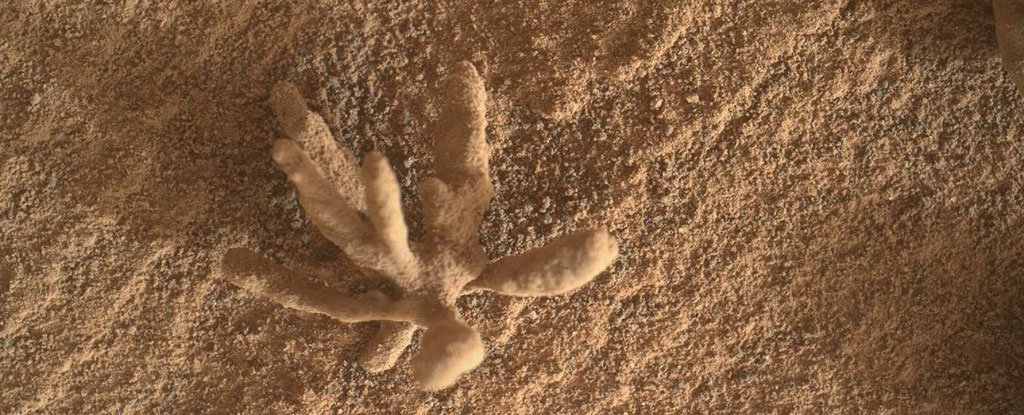 Curiosity Rover hat dieses Foto einer zarten und zarten metallischen „Blume“ auf dem Mars aufgenommen