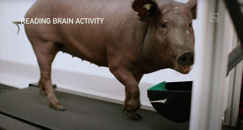 Photo of Neuralink reagiert auf Vorwürfe der unmenschlichen Behandlung bei Tierversuchen