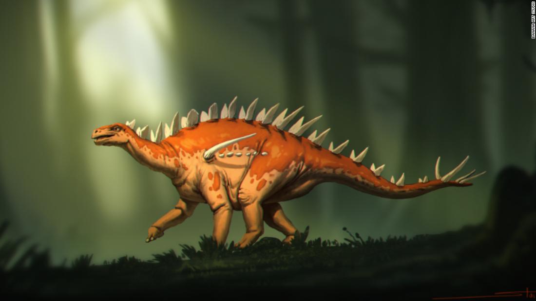 Photo of Entdeckte Stegosaurus-Fossilien weisen eine „seltsame Mischung von Merkmalen“ auf