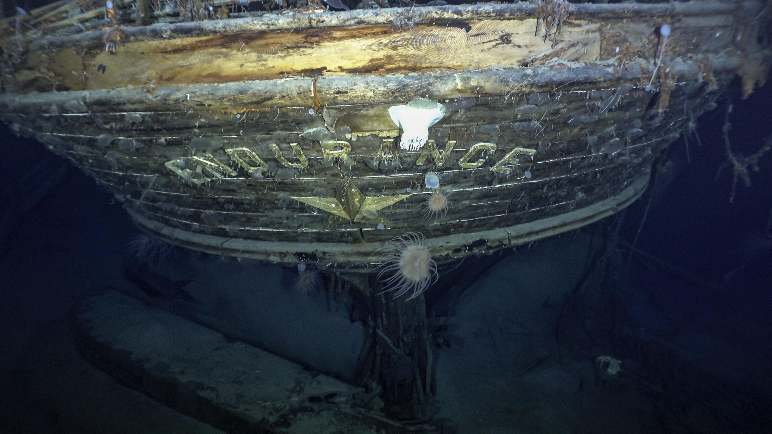 Photo of Ausdauer: Das Schiff des Entdeckers Shackleton wurde ein Jahrhundert später gefunden