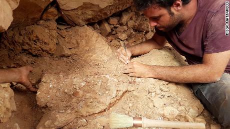 Der Paläontologe Matteo Fabri arbeitet im Feld an einem Fossil.