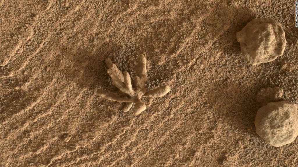 Eine kleine „Blumen“-Formation, die vom Curiosity-Rover auf dem Mars entdeckt wurde