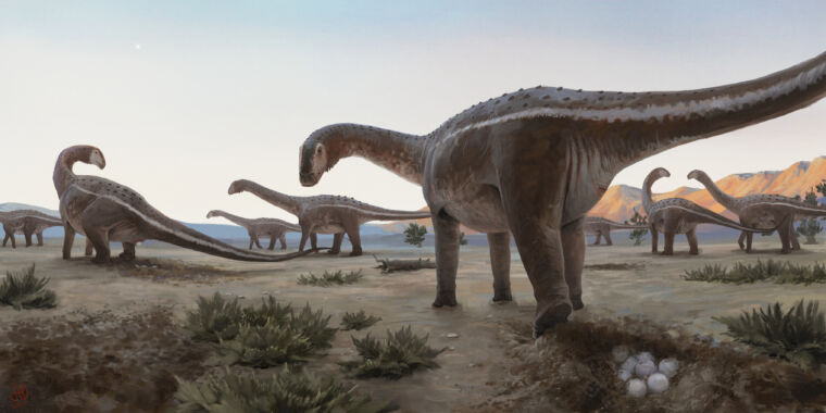 Photo of In Brasilien wurde ein Titanosaurier-Nistplatz gefunden