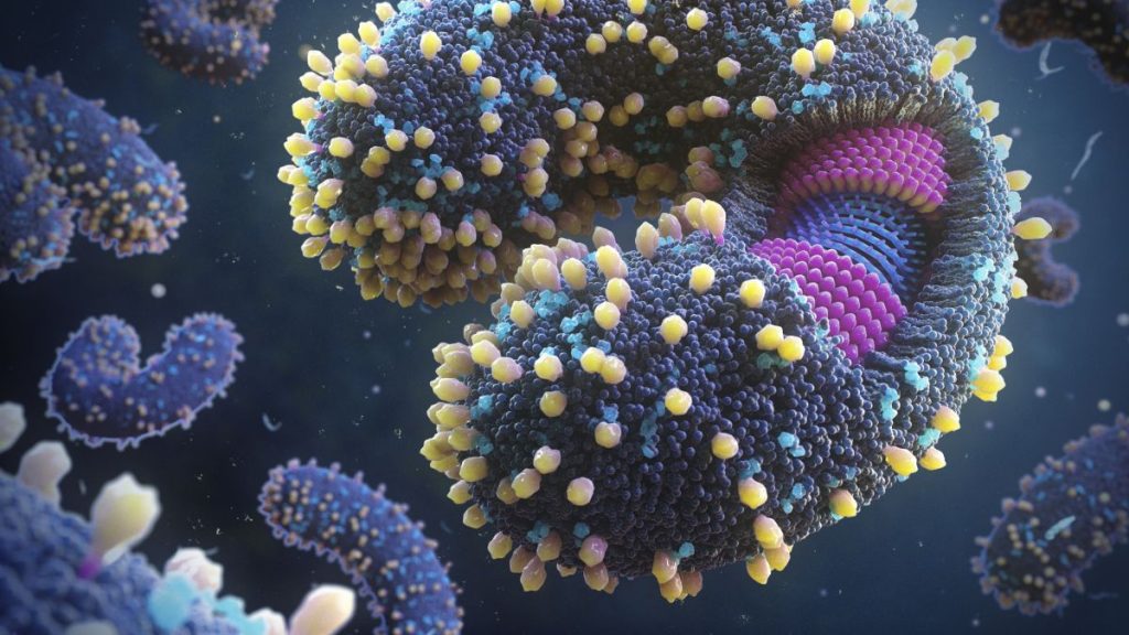 Tausende neue Viren in den Weltmeeren entdeckt