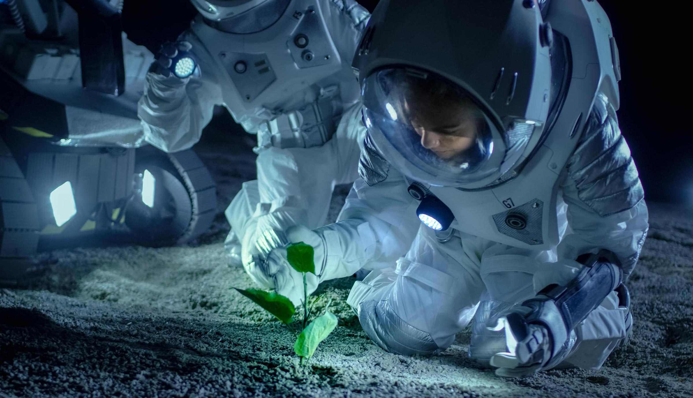 Photo of Wissenschaftler züchten Pflanzen auf Mondboden – zum ersten Mal in der Geschichte der Menschheit