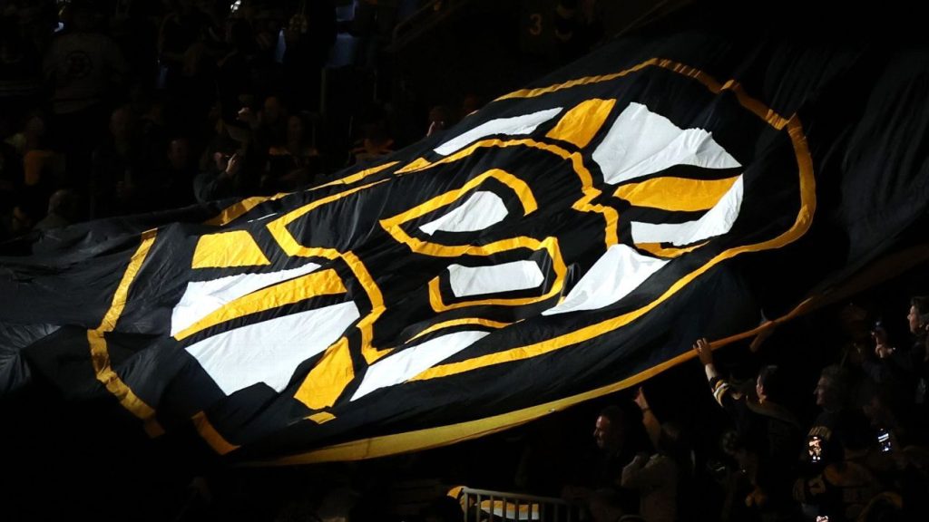 Ein NHL-Funktionär wurde während des dritten Spiels der Serie zwischen den Boston Bruins und den Carolina Hurricane verletzt