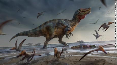 Diese Illustration zeigt den furchterregenden Isle of Wight-Spinosauriden, wie er zum Leben erwachte.