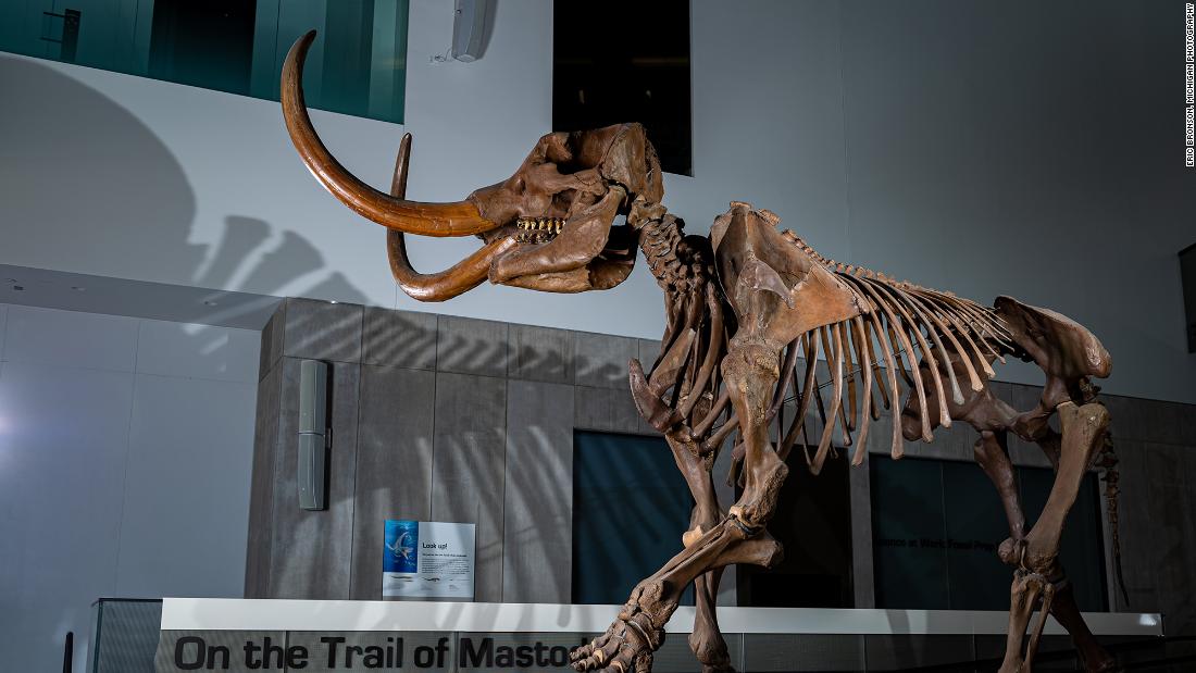 Photo of Fangzahn von Mastodon enthüllt Migrationsmuster in Nordamerika