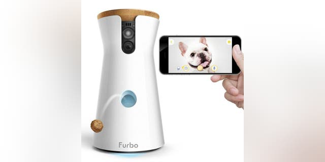 Forbo Hundekamera.  Die neueste Haustierkamera von Furbo bietet dir 360-Grad-Ansichten.  In diesem Podcast habe ich einen Einblick in sieben aufregende neue iOS 16-Funktionen und einen Action-Fotografie-Hack erhalten. 