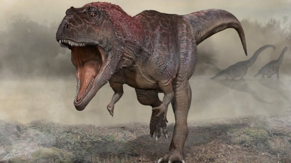Photo of Die Entdeckung von Dinosauriern deutet darauf hin, warum T-Rex Kleinwaffen hatte