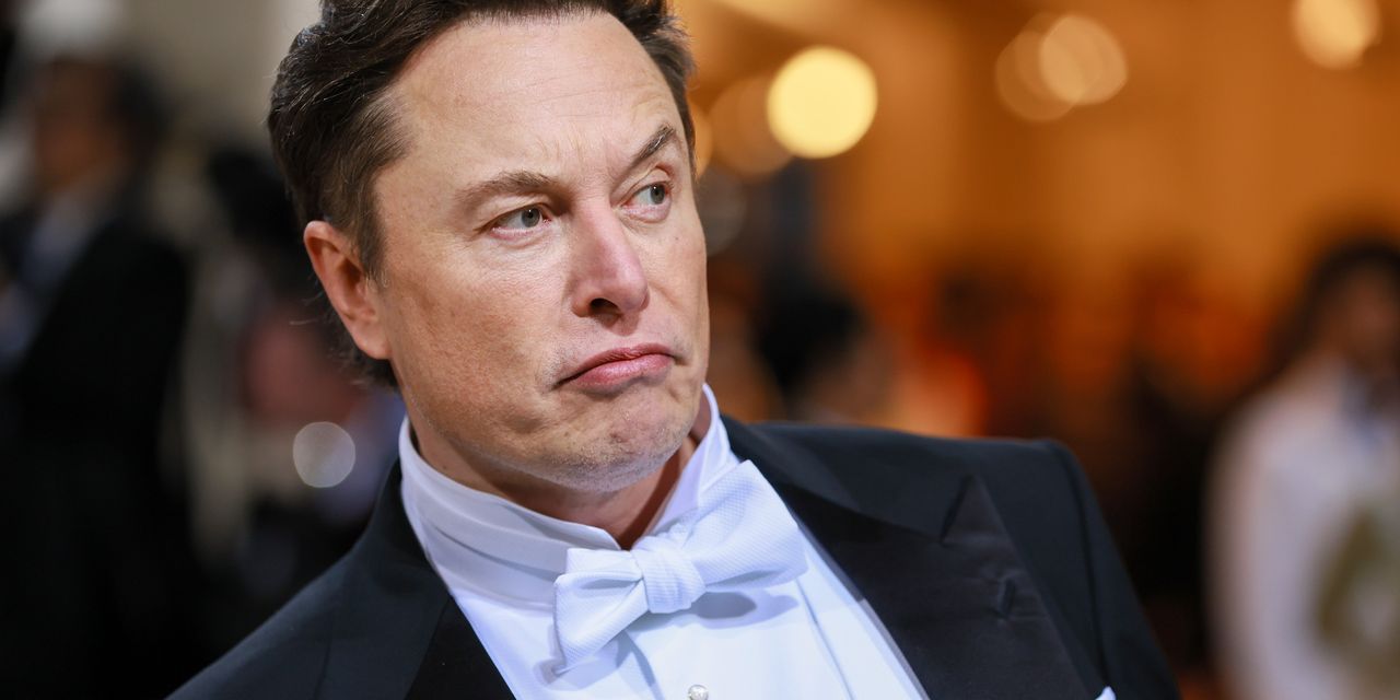 Twitter sucht nicht nach einem Verkauf.  Jetzt will Elon Musk nicht kaufen.  Stichwort bizarres Rechtsdrama.