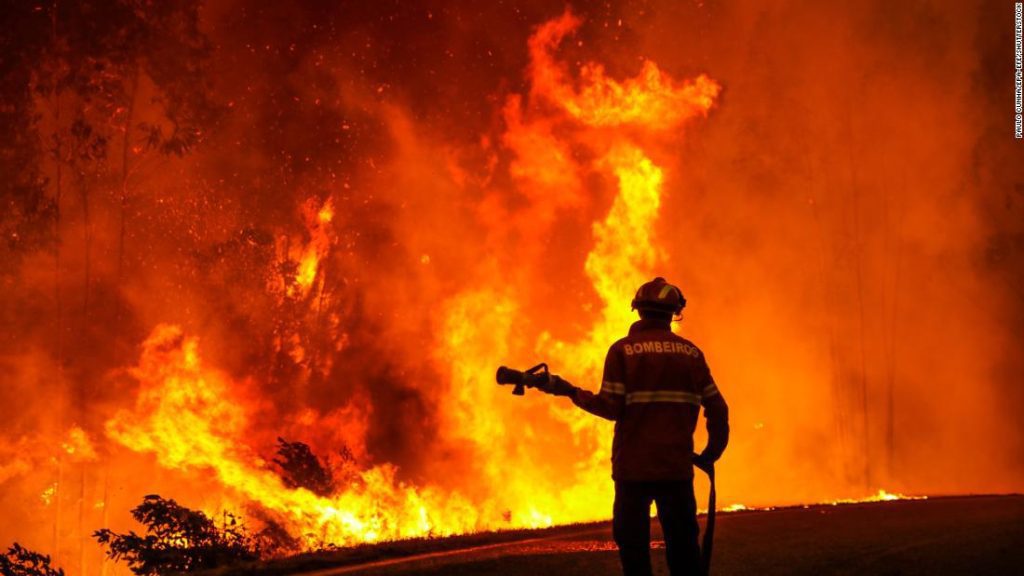 Hitzewelle in Europa: Großbritannien erlebt den drittwärmsten Tag aller Zeiten, Buschbrände wüten in Frankreich und Spanien