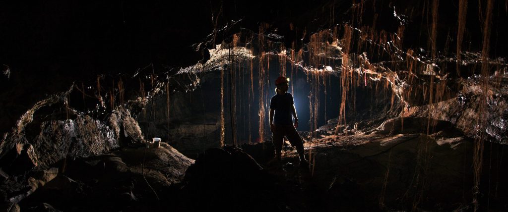 Uralte mikrobielle „dunkle Materie“ – Tausende unbekannter Bakterienarten, die in Hawaiis Lavahöhlen entdeckt wurden