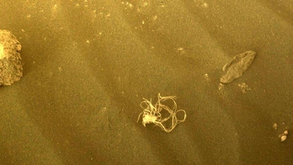 Photo of Die Perseverance-Sonde der NASA entdeckt ein seltsames Gewirr