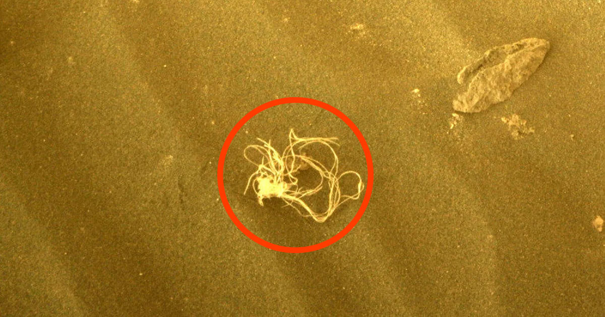Photo of NASA fasziniert von einem nudelähnlichen Objekt, das auf dem Mars gefunden wurde