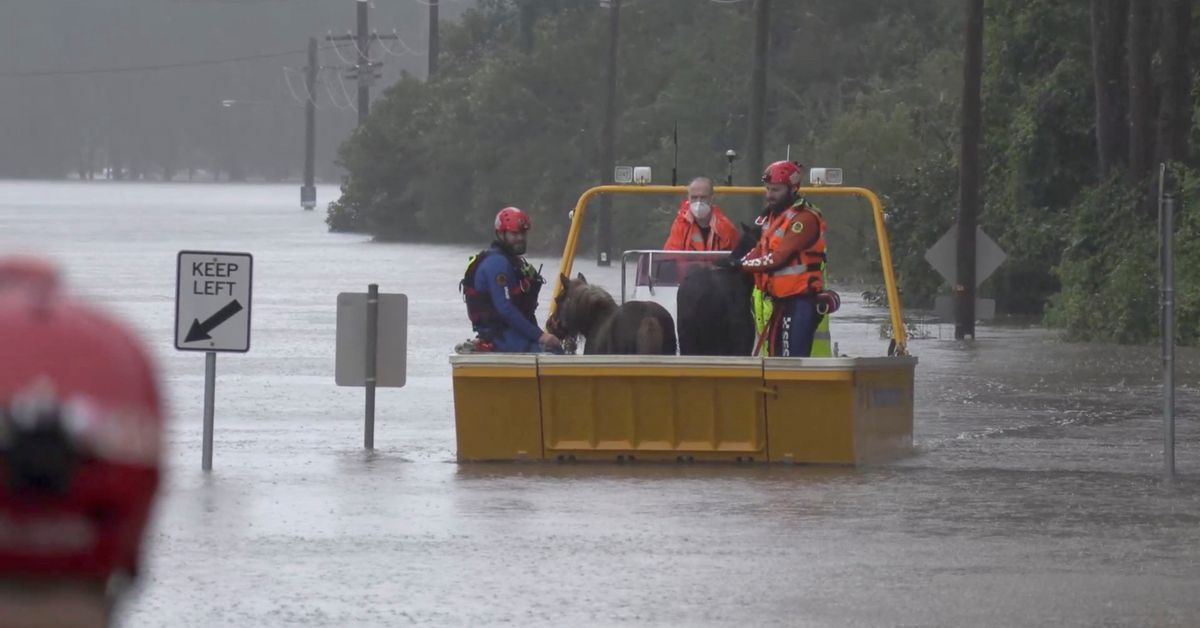 Photo of Zehntausende Einwohner von Sydney haben darum gebeten, evakuiert zu werden, da es in den Vororten regnet