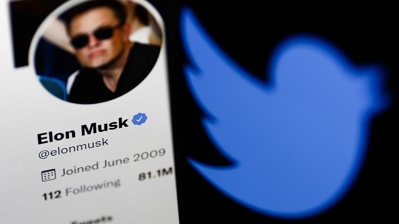 Elon Musk sagt, dass der Twitter-Deal stattfinden kann, sobald die Benutzerdaten bestätigt sind