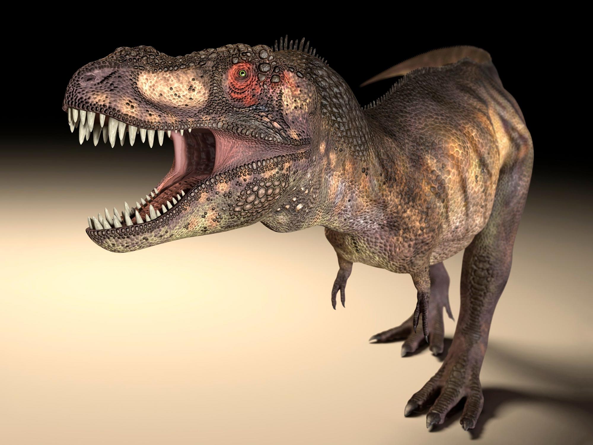 Photo of Große Raubsaurier wie der T. rex entwickelten unterschiedliche Augenhöhlenformen, um stärkere Bisse zu ermöglichen.