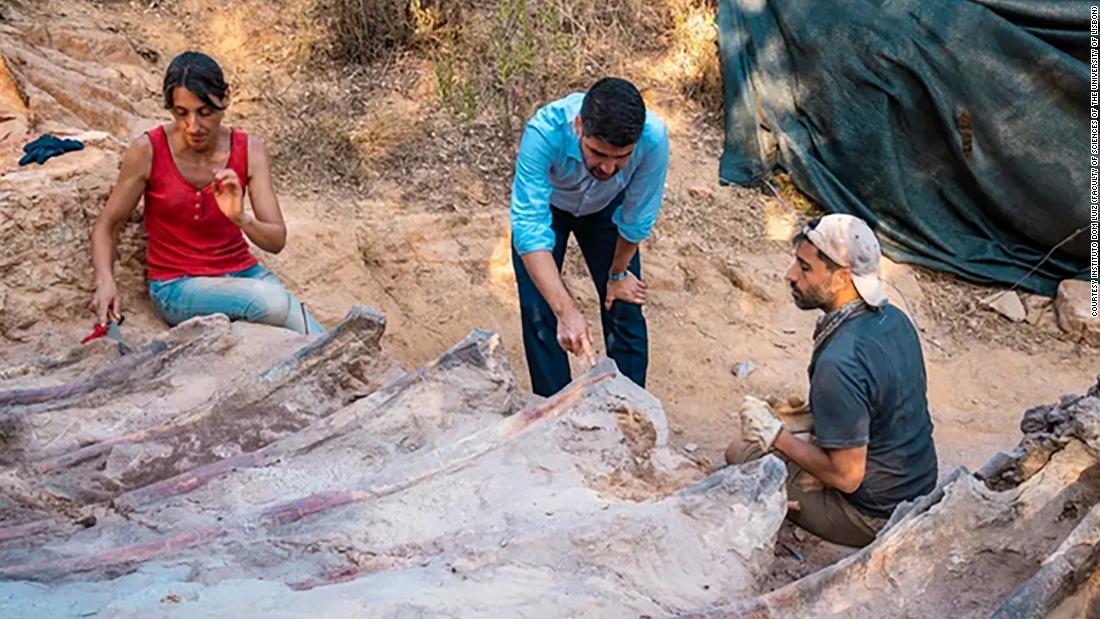 Photo of Entdecken Sie einen Dinosaurierkäfig im Hinterhof von Portugal