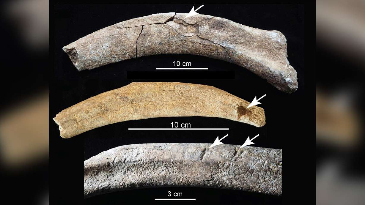 Photo of Entdeckung im Hinterhof von Paläontologen enthüllt Hinweise auf frühe Menschen in Nordamerika
