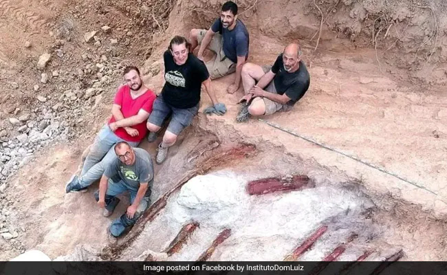 Photo of In Portugals Hinterhof gefundenes Dinosaurierskelett könnte Europas größter Fund aller Zeiten sein: Bericht
