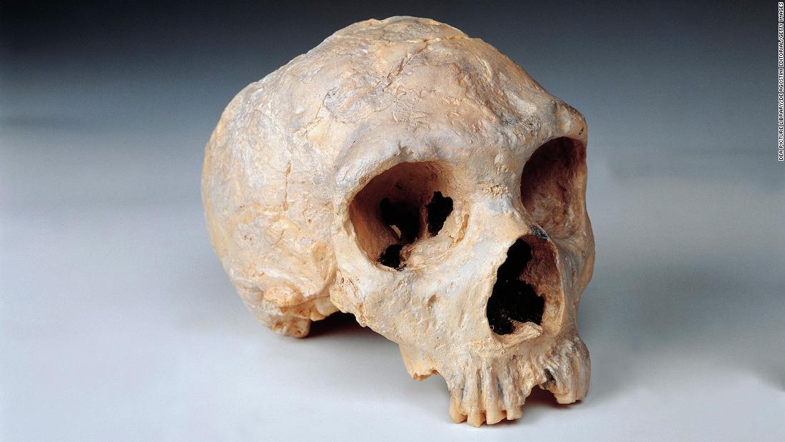Photo of Unterschiede in Gehirnen von Menschen und Neandertalern aufgedeckt