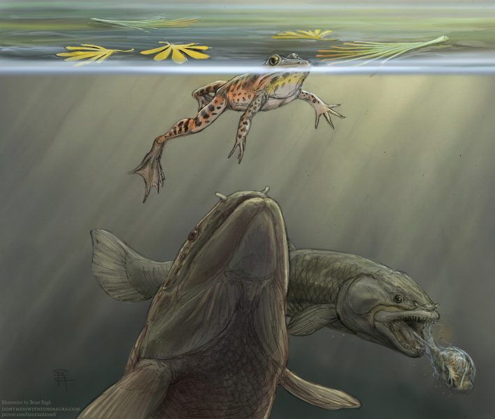 Illustration eines prähistorischen Fisches, der sich einem ahnungslosen Frosch an der Wasseroberfläche nähert, und einem anderen Fisch, der im Hintergrund einen Frosch wirft