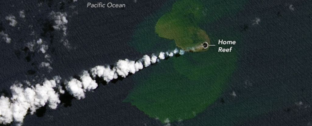 Photo of Nach einem Unterwasser-Vulkanausbruch ist im Pazifischen Ozean eine neue Insel entstanden: ScienceAlert