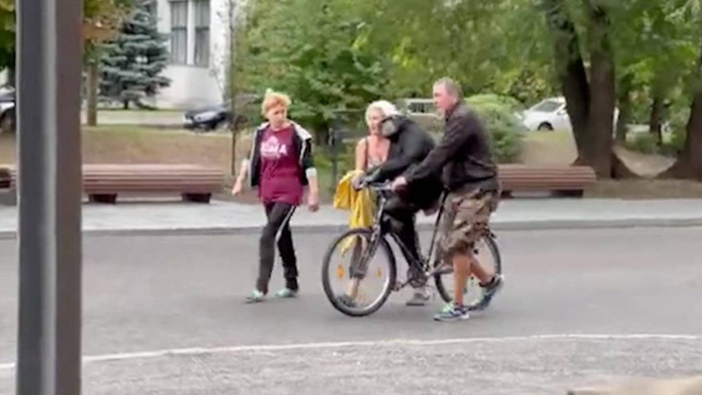 Ein Schimpanse entkommt aus dem Zoo von Charkiw und kehrt in einem Regenmantel auf einem Fahrrad zurück