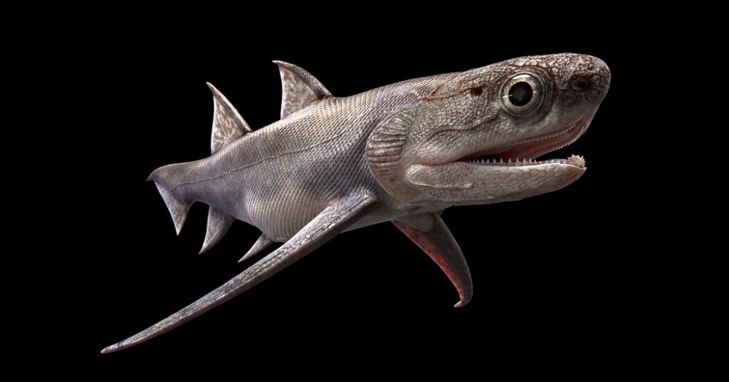 Versteinerte Fische enthüllen die ältesten bisher bekannten „Kiefer“
