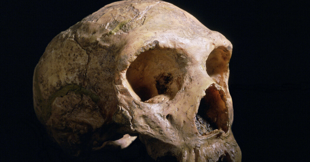 Photo of Was unterscheidet Ihr Gehirn von einem Neandertaler?