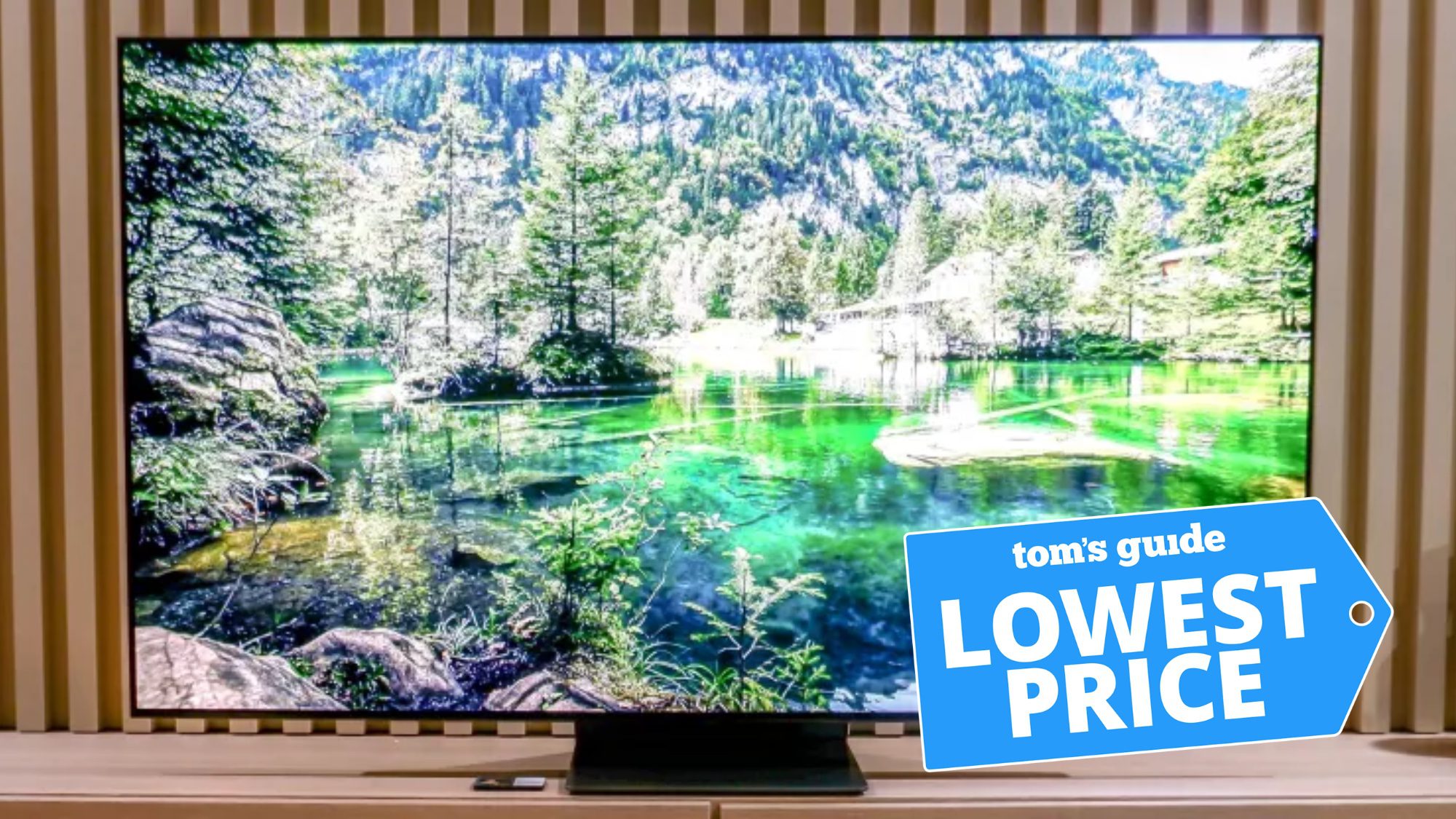 Samsung S95B OLED-TV-Angebot