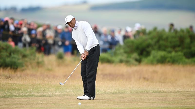 Photo of Tiger Woods fordert den Präsidenten von LIV Golf, Greg Norman, auf, zurückzutreten